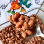 Close Up Flor De Mayo Beans