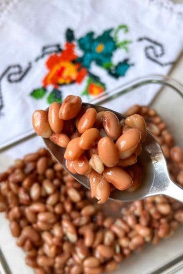 Close Up Flor De Mayo Beans