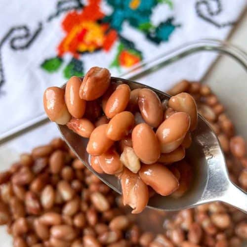 Close Up Flor De Mayo Beans
