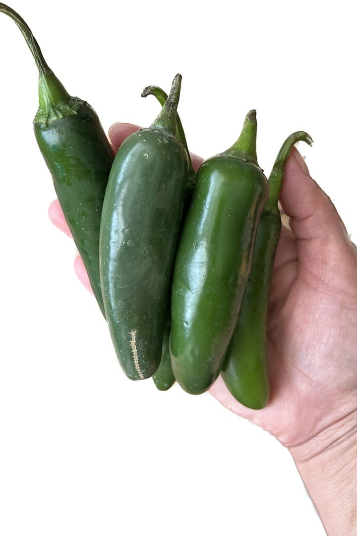 Fresh jalapenos for recipe in hand.