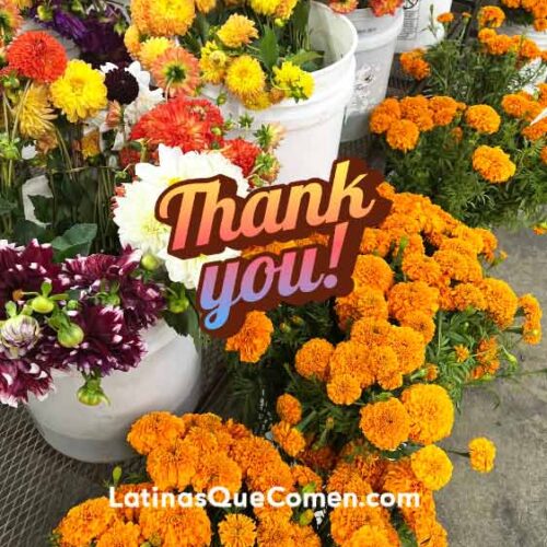 LatinasQueComen-flowers-for-ComidaMaker-supporters.