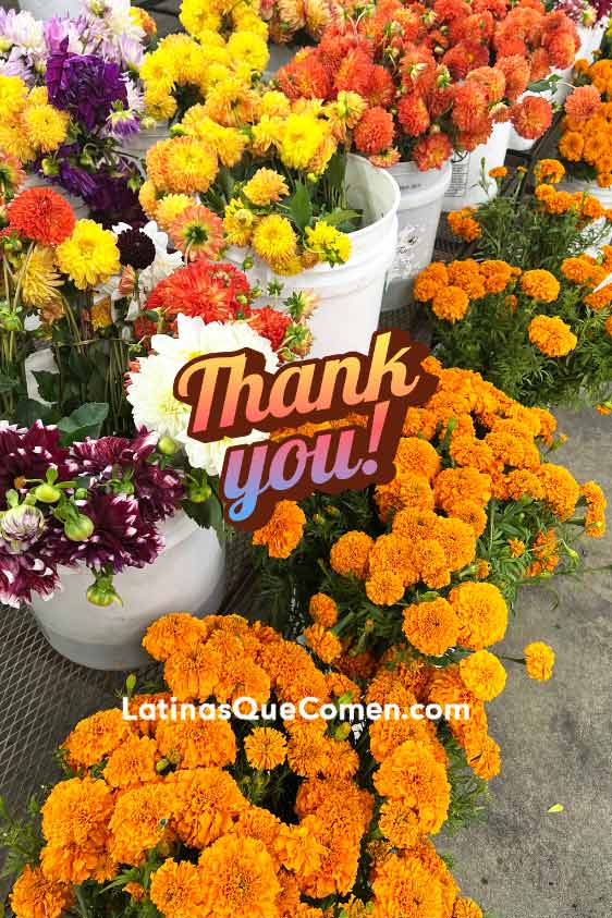 Thank you flowers for latinasquecomen readers.
